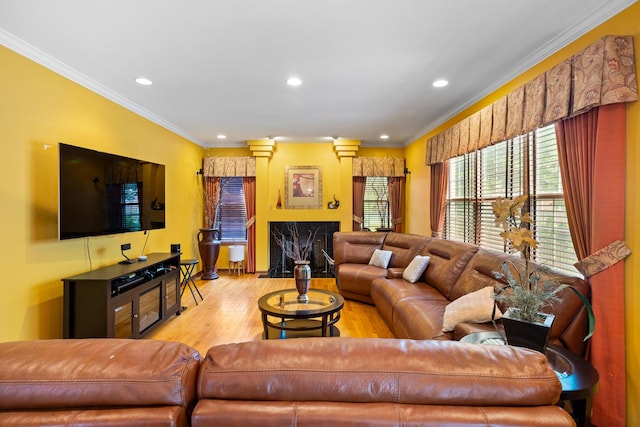 living room with ornamental molding and light hardwood / wood-style flooring