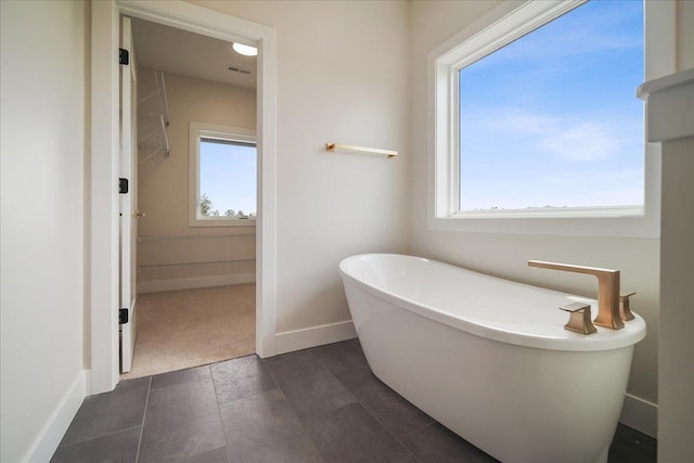 bathroom with a healthy amount of sunlight and a tub