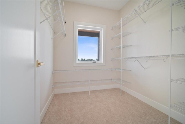 walk in closet featuring light colored carpet