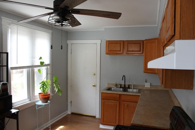 kitchen featuring light wood-type flooring, ornamental molding, ceiling fan, exhaust hood, and sink