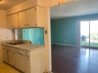 kitchen featuring light hardwood / wood-style floors and sink