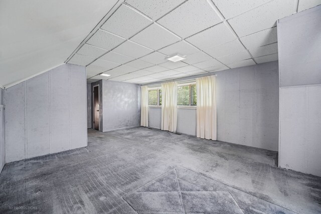 additional living space featuring carpet and lofted ceiling