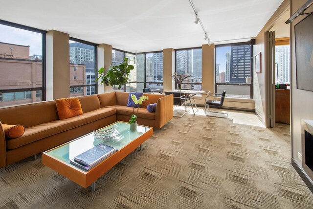 carpeted living room featuring track lighting and plenty of natural light