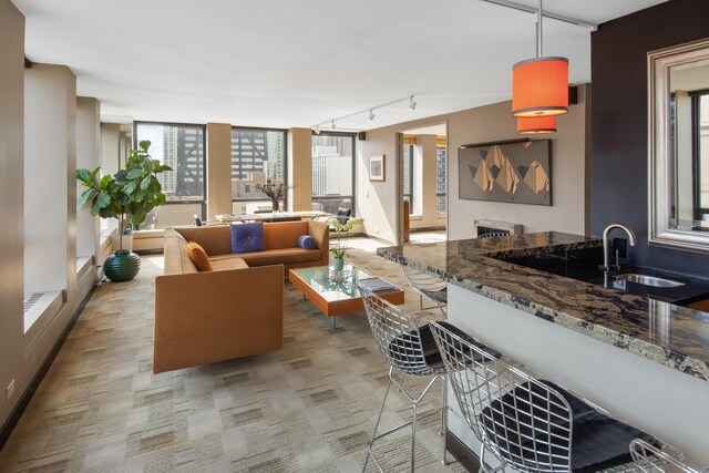 living room featuring a healthy amount of sunlight, sink, and rail lighting