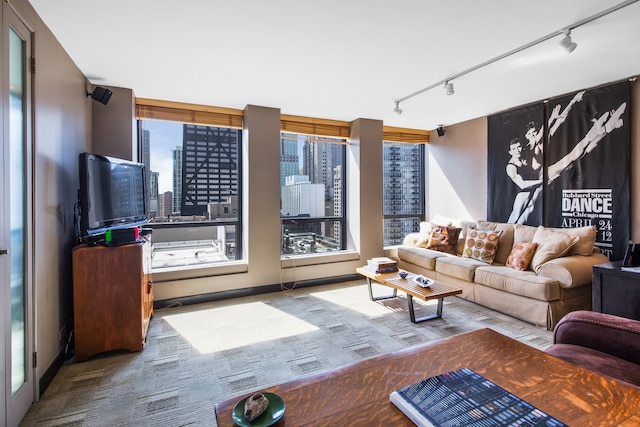 living room with track lighting