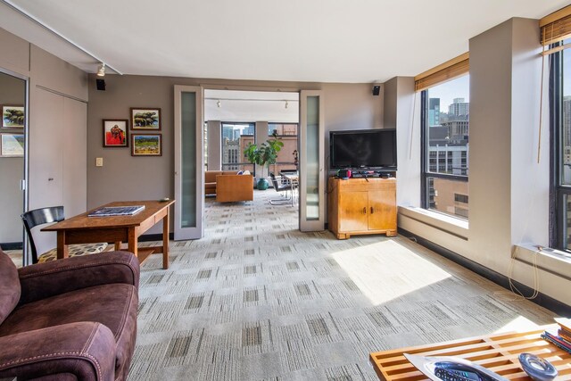 carpeted living room featuring rail lighting