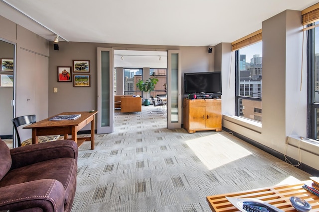 living area featuring light carpet, plenty of natural light, and track lighting