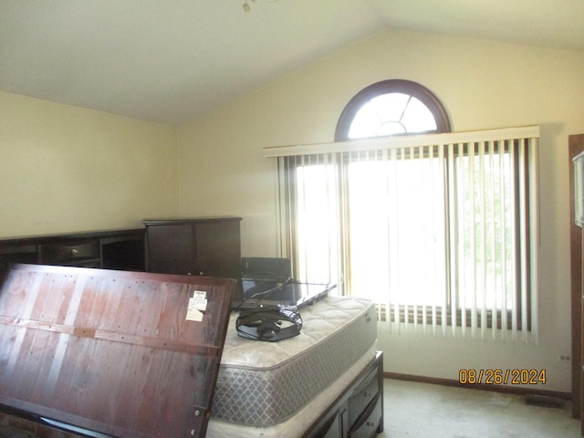 bedroom featuring lofted ceiling, carpet, and baseboards