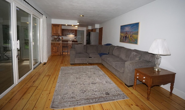 living room with light hardwood / wood-style flooring