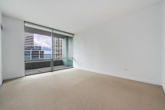 unfurnished room with carpet flooring and expansive windows