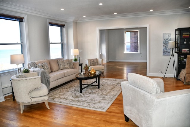 living room with a baseboard radiator, ornamental molding, and light wood-type flooring