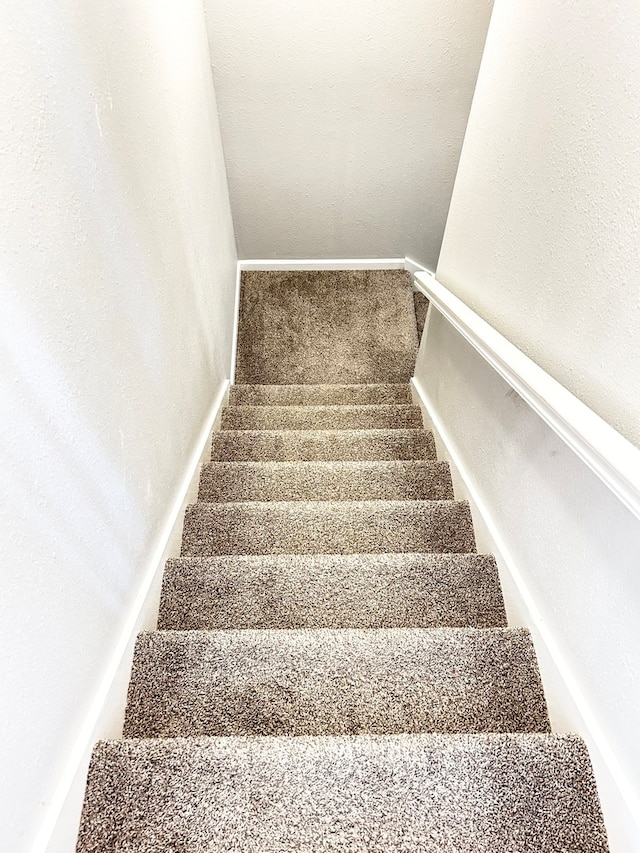 stairway with carpet