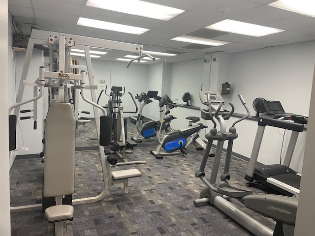 workout area with a paneled ceiling and carpet