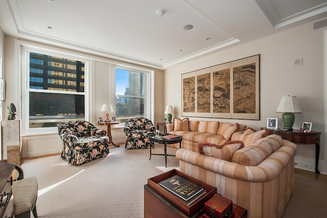 living room with carpet flooring and a raised ceiling