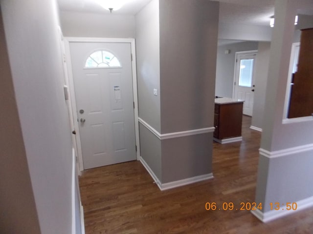 foyer featuring dark hardwood / wood-style floors