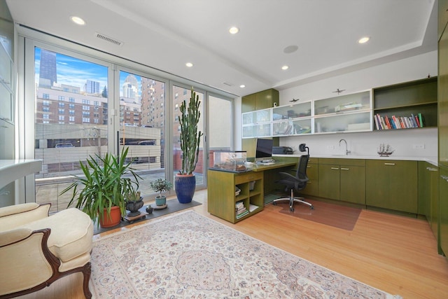 home office with light hardwood / wood-style floors, expansive windows, and sink