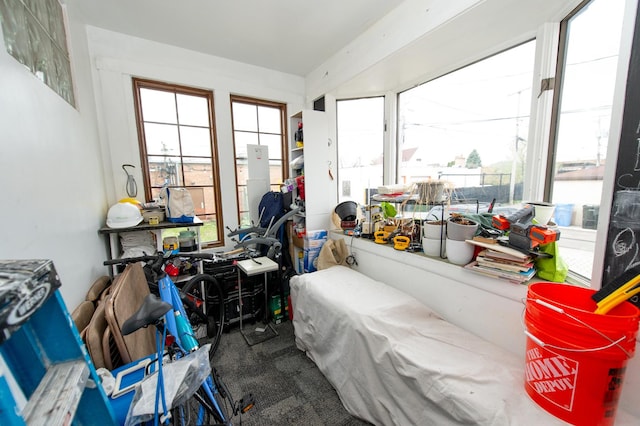 bedroom featuring carpet flooring