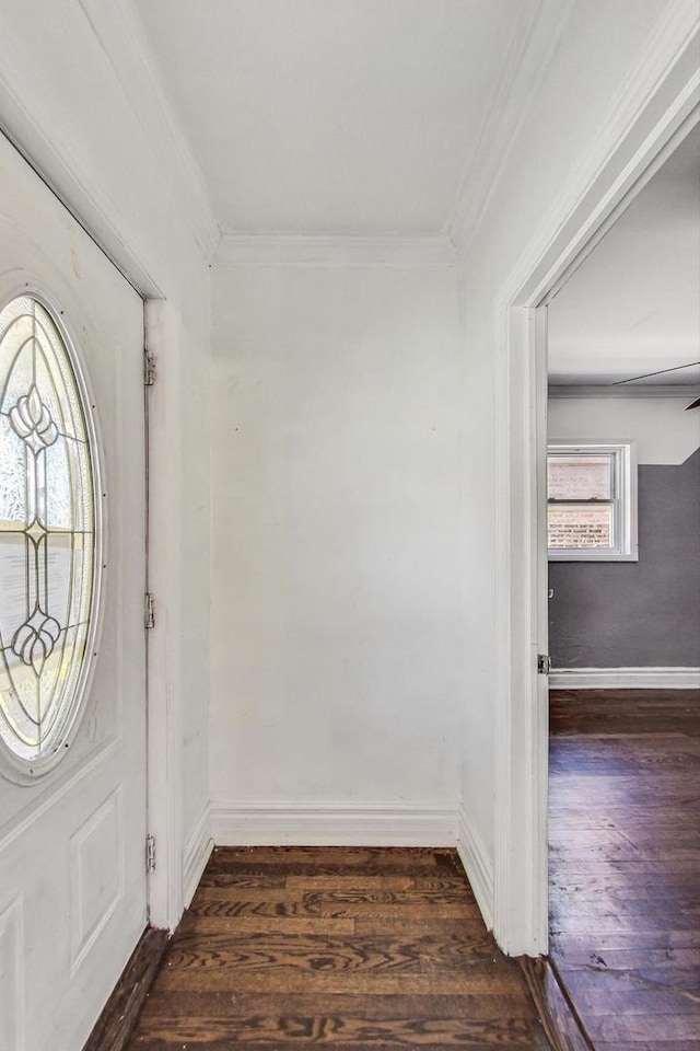 entryway featuring crown molding and dark hardwood / wood-style floors