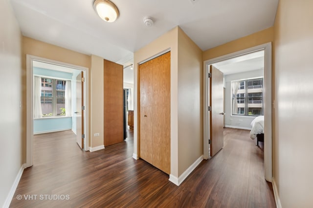 hallway with a wealth of natural light and dark hardwood / wood-style floors