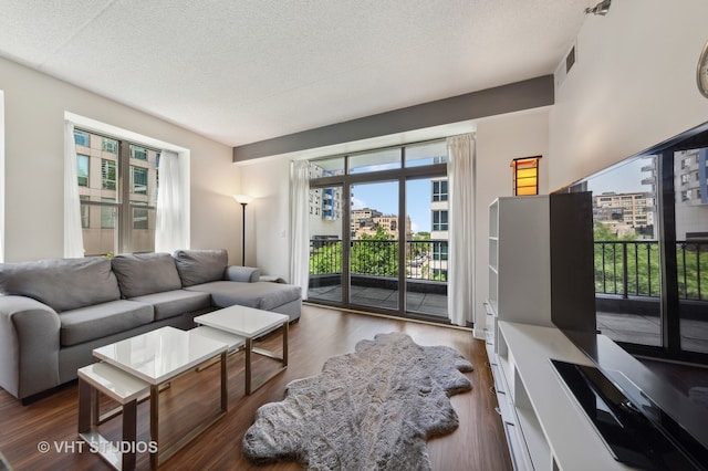 living room featuring a textured ceiling and hardwood / wood-style flooring