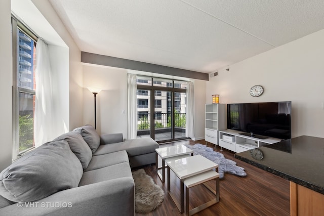 living room with a textured ceiling and wood-type flooring