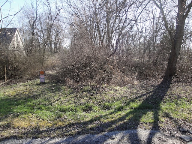 4373 Dewey Ave, Matteson IL, 60443 land for sale