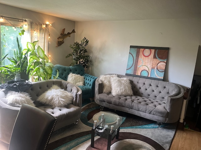 living room featuring hardwood / wood-style flooring