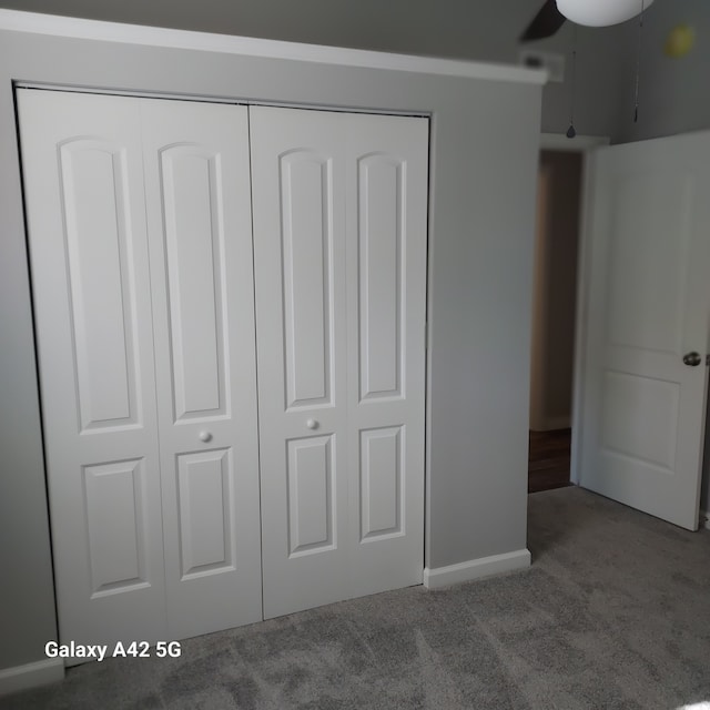 unfurnished bedroom featuring carpet floors and a closet