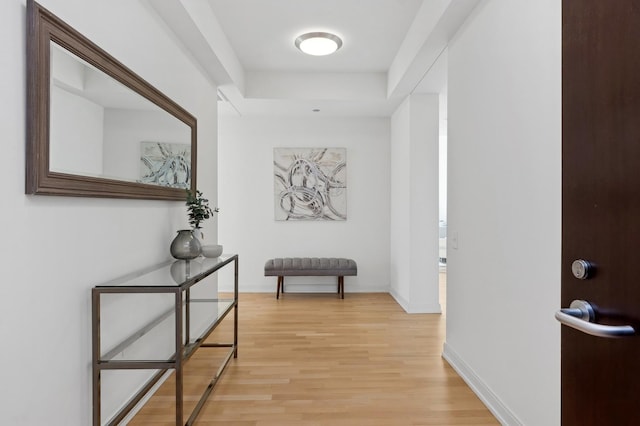 corridor with hardwood / wood-style floors and a raised ceiling