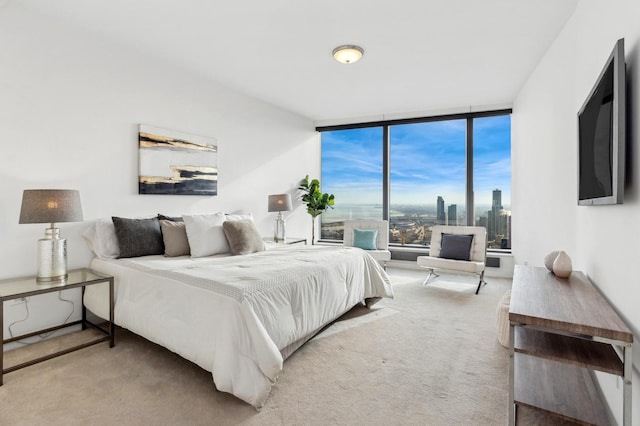 bedroom with carpet and a wall of windows