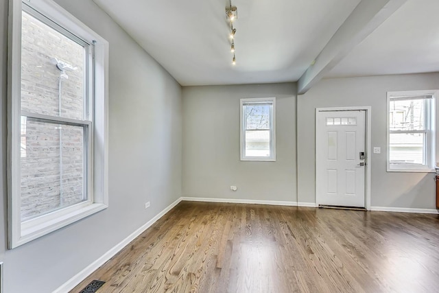 foyer with wood-type flooring