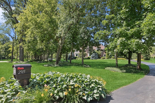 view of property's community featuring a yard