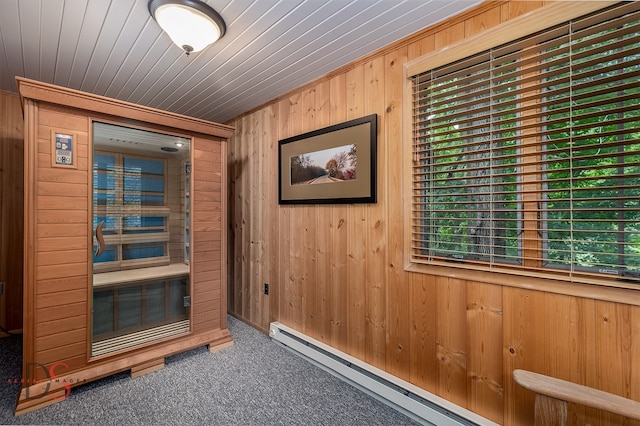 view of sauna / steam room featuring carpet and wood walls