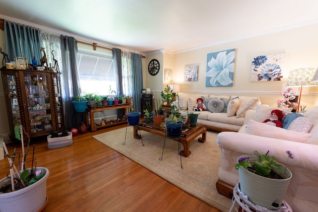 living room with ornamental molding and hardwood / wood-style floors