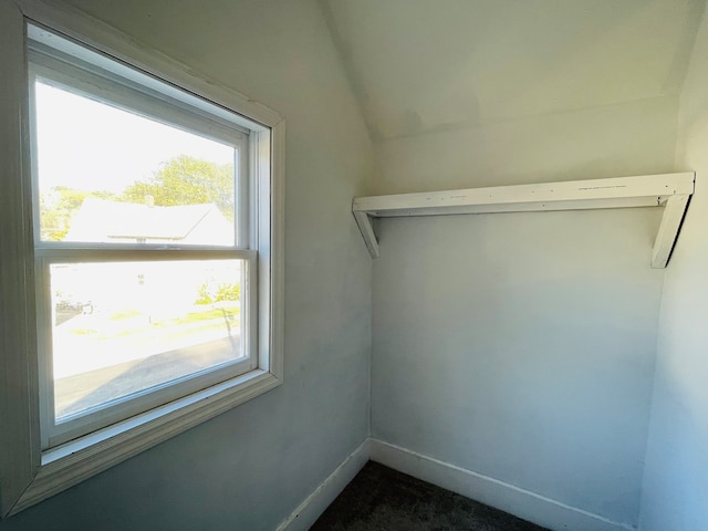 walk in closet with vaulted ceiling