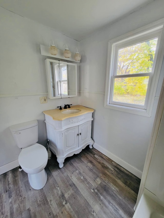 bathroom featuring vanity, toilet, and wood-type flooring