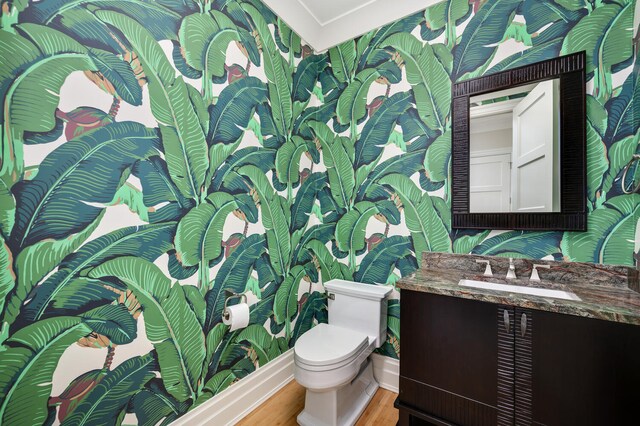 bathroom with vanity, hardwood / wood-style flooring, and toilet