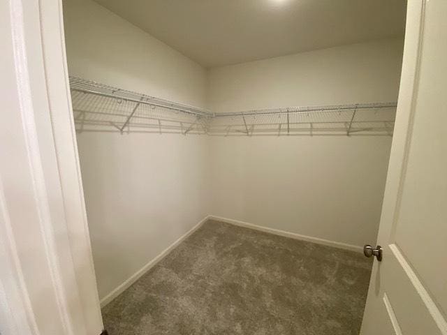 spacious closet with dark carpet