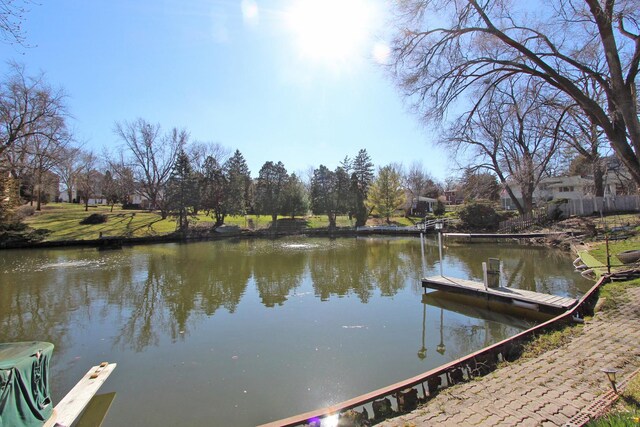 dock area with a water view