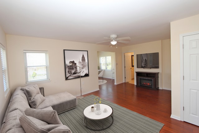 living room with ceiling fan and wood-type flooring