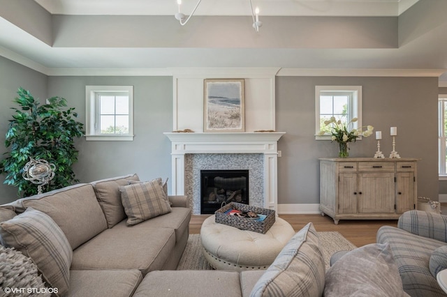 living room with a tray ceiling, light hardwood / wood-style flooring, and a healthy amount of sunlight