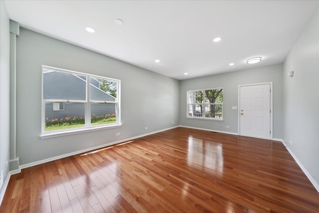 spare room featuring plenty of natural light and wood-type flooring