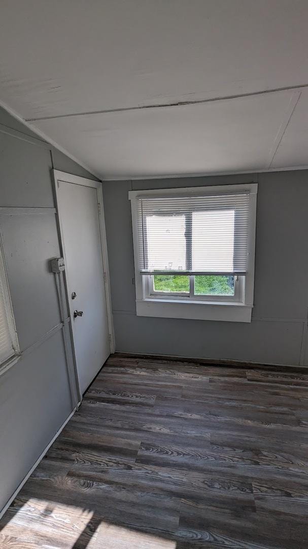 spare room with lofted ceiling and dark wood-type flooring