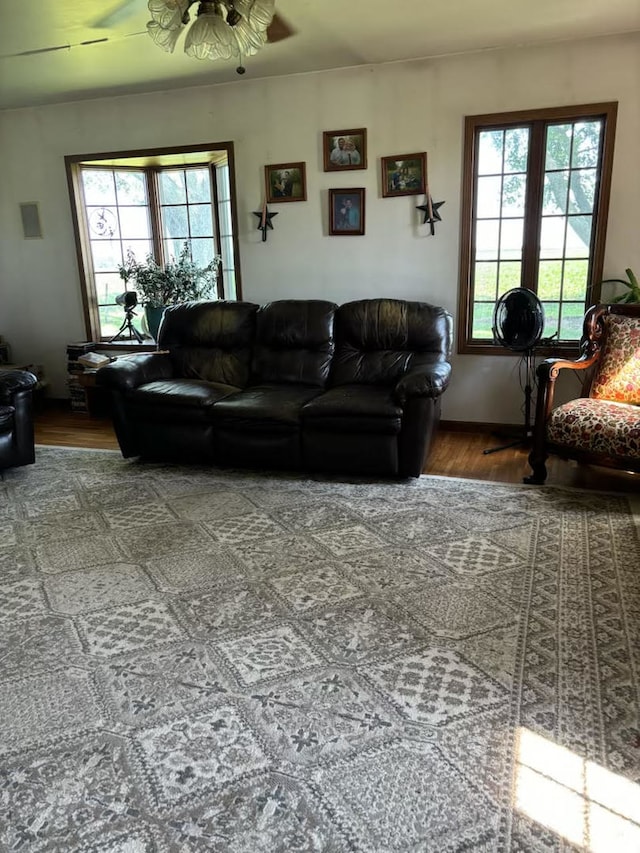 living room with ceiling fan and hardwood / wood-style flooring