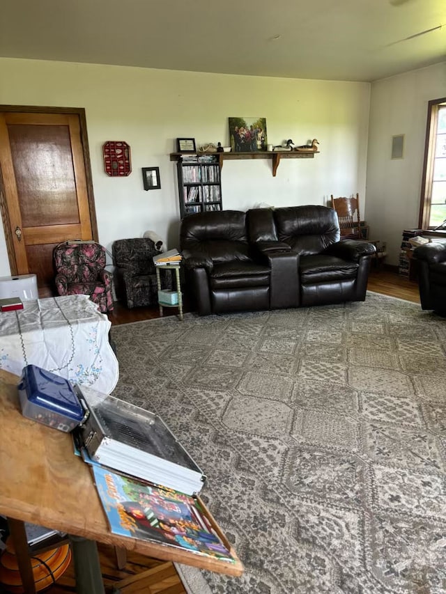 living room featuring wood-type flooring