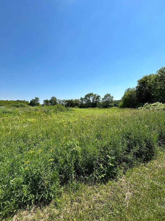10277 Creekside Pl, Belvidere, IL 61008 - photo 8