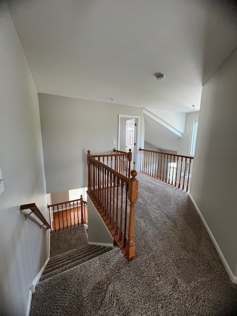 stairway featuring carpet flooring