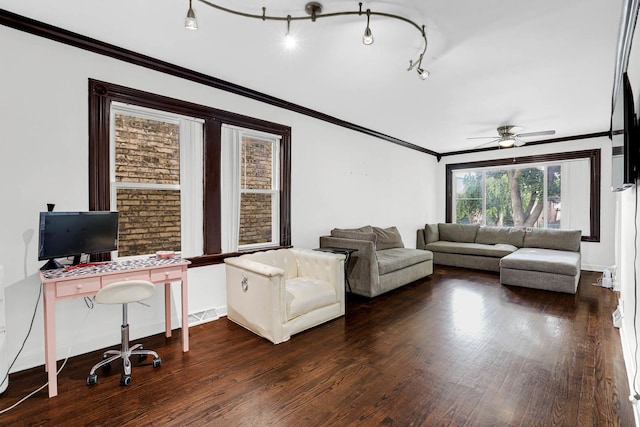 living room with ceiling fan, crown molding, and dark wood-type flooring