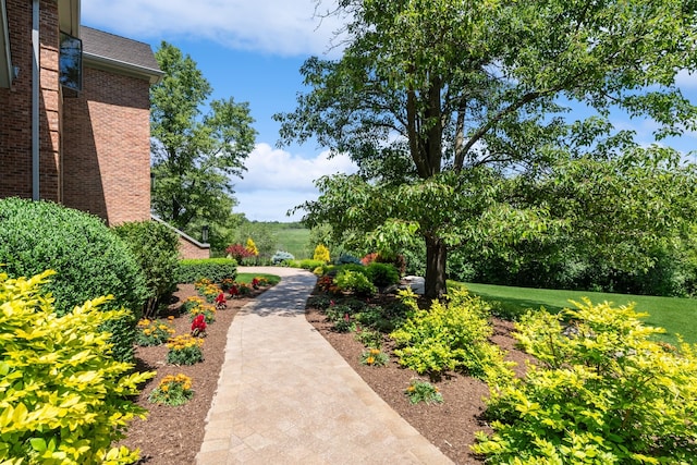 view of property's community with a lawn