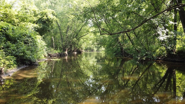 view of nature featuring a water view